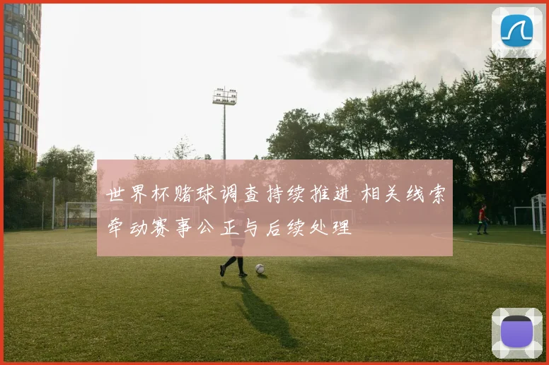 世界杯赌球调查持续推进 相关线索牵动赛事公正与后续处理