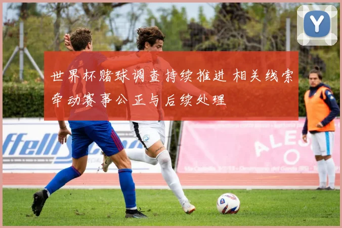 世界杯赌球调查持续推进 相关线索牵动赛事公正与后续处理