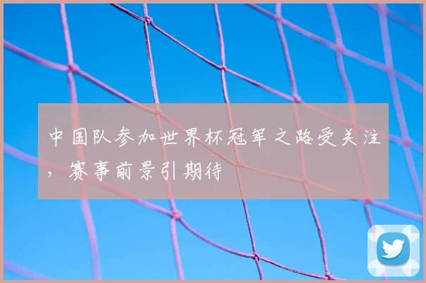 中国队参加世界杯冠军之路受关注,赛事前景引期待