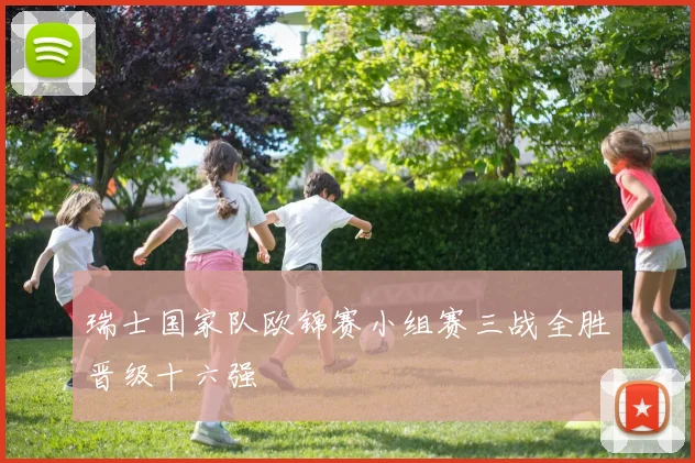 瑞士国家队欧锦赛小组赛三战全胜晋级十六强