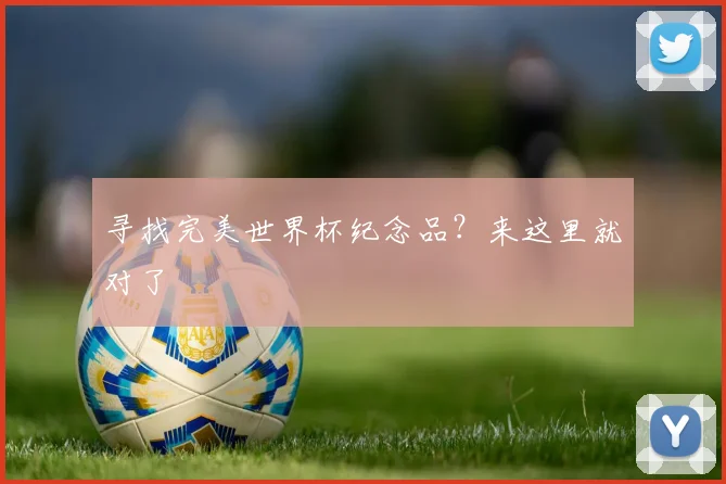 寻找完美世界杯纪念品？来这里就对了